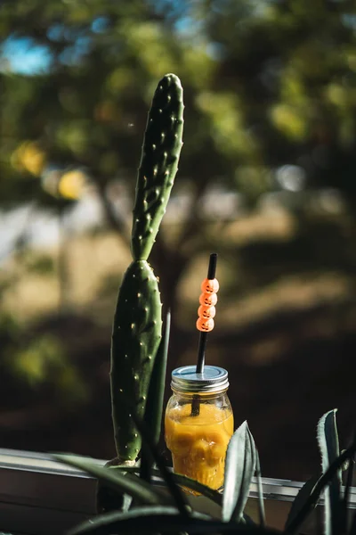 一棵植物垂直拍摄的一杯新鲜果汁 万圣节主题 — 图库照片