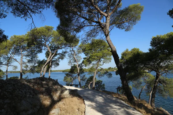 Egy Sétaút Partján Csatorna Ante Közelében Sibenik Horvátországban — Stock Fotó