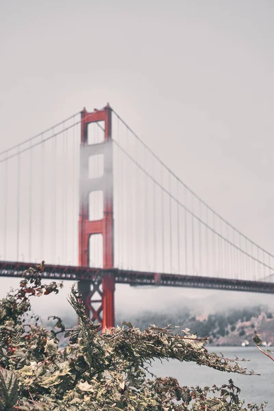 Uma Foto Vertical Ponte Golden Gate São Francisco — Fotografia de Stock
