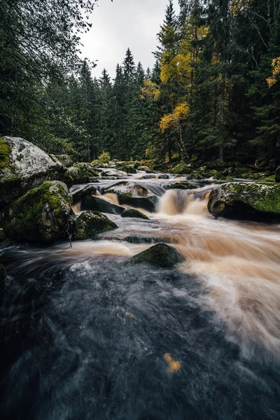 An autumn view of a river in an Alaska like forest. Wild creek or river in the middle of autumn forest. Mountain stream with cascades and waterfalls.