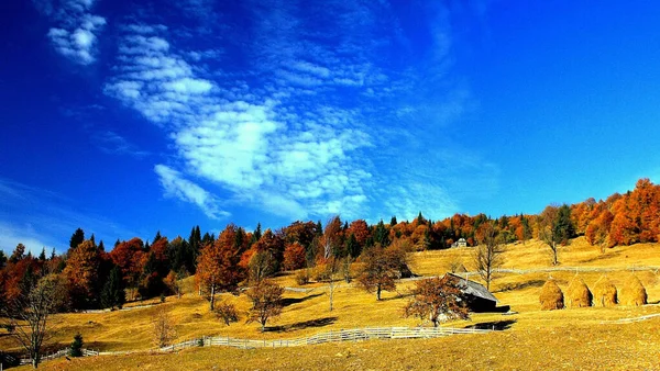 Eine Schöne Aufnahme Von Häusern Einer Von Bäumen Bedeckten Berglandschaft — Stockfoto