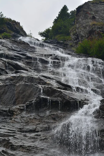 Bel Colpo Verticale Angolo Basso Della Cascata Capra Romania — Foto Stock