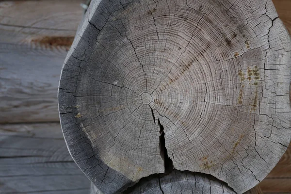 Bulanık Bir Arkaplanda Kesilen Bir Ağacın Yıllık Halkaları Çatlakları — Stok fotoğraf