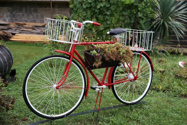 庭に植木鉢が立って装飾として古い自転車 — ストック写真