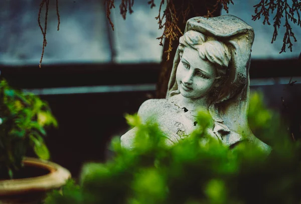 Статуя Девушки Саду Видимой Сквозь Размытые Растения — стоковое фото