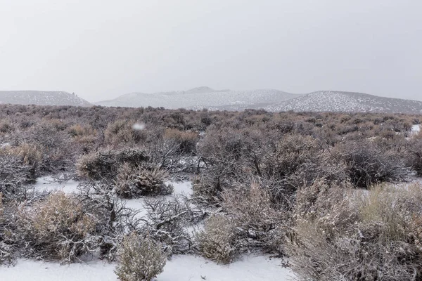 Una Bella Foto Paesaggio Montano Innevato Nella Sierra Orientale California — Foto Stock