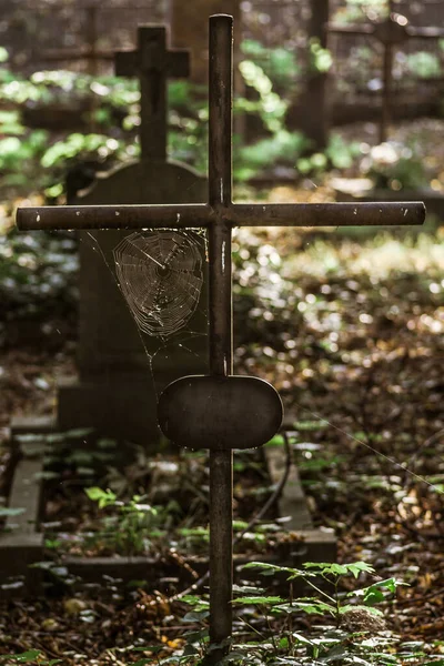 Mezarlıkta Üzerinde Örümcek Ağı Olan Paslı Bir Haçın Dikey Görüntüsü — Stok fotoğraf