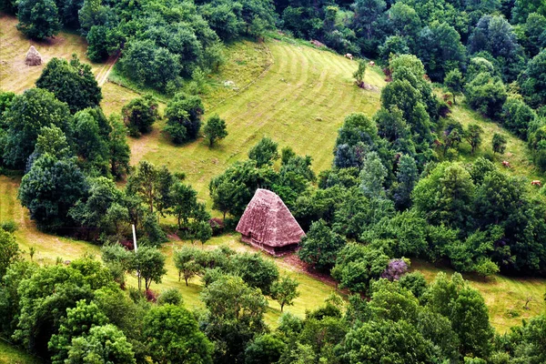 Самотня Хатина Краю Долини Горах — стокове фото