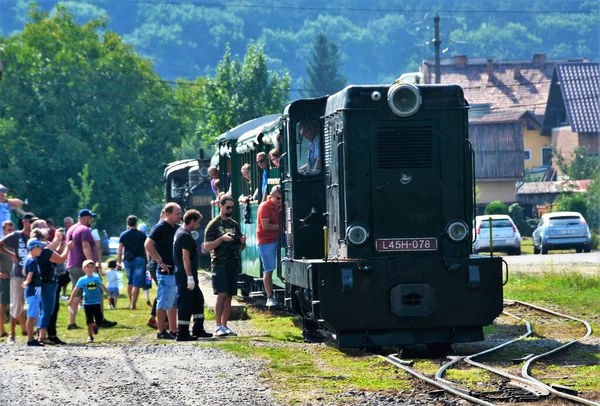 Sovata Romania Серпня 2019 Вузькоколійний Поїзд Курорту Совата Румунія Він — стокове фото