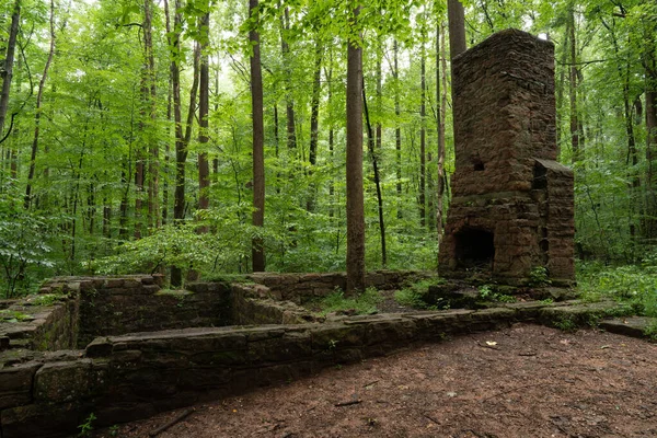 Las Ruinas Una Pequeña Cabaña Casa Primavera Rodeada Exuberante Vegetación —  Fotos de Stock