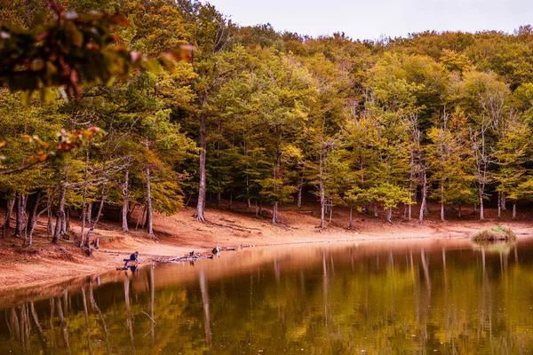 Uma Vista Panorâmica Árvores Coloridas Outono Longo Lago — Fotografia de Stock