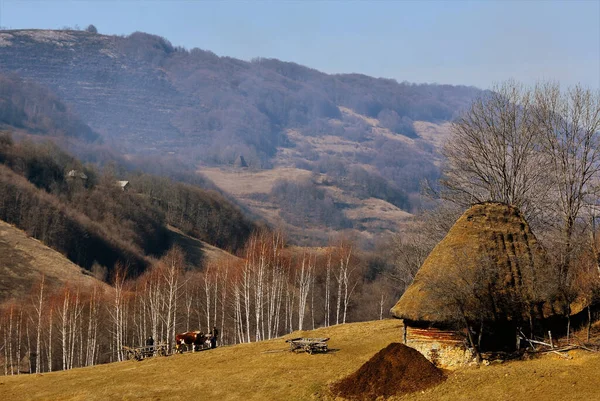 Widok Starych Domów Górach Apuseni Rumunia — Zdjęcie stockowe