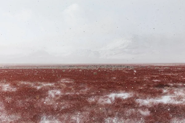 Een Prachtig Shot Van Een Besneeuwd Berglandschap Eastern Sierra California — Stockfoto