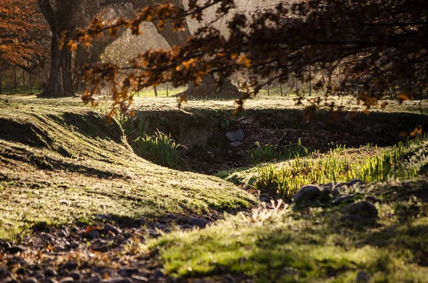 Großaufnahme Eines Riesigen Erdlochs Inmitten Eines Waldes Einem Sonnigen Tag — Stockfoto