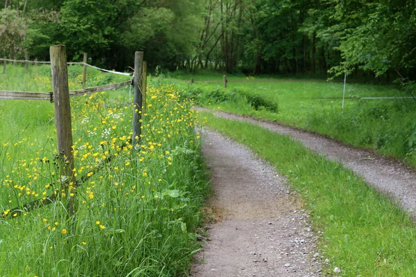 Gros Plan Clôture Électrique Autour Joli Pâturage Avec Des Animaux — Photo