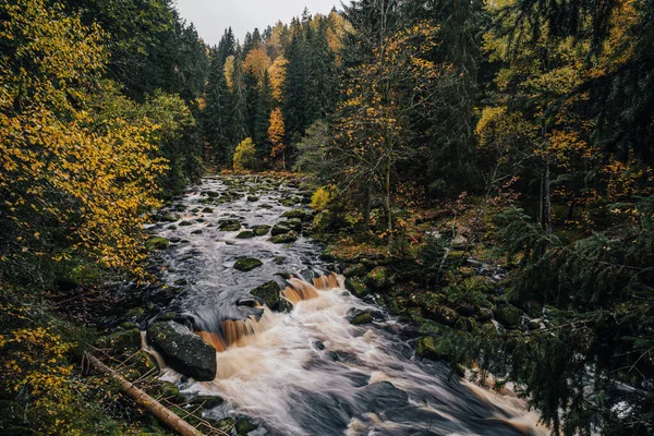 Jesienny Widok Rzeki Alasce Jak Las Dziki Strumyk Lub Rzeka — Zdjęcie stockowe