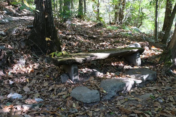 Вид Старую Каменную Скамейку Посреди Леса — стоковое фото