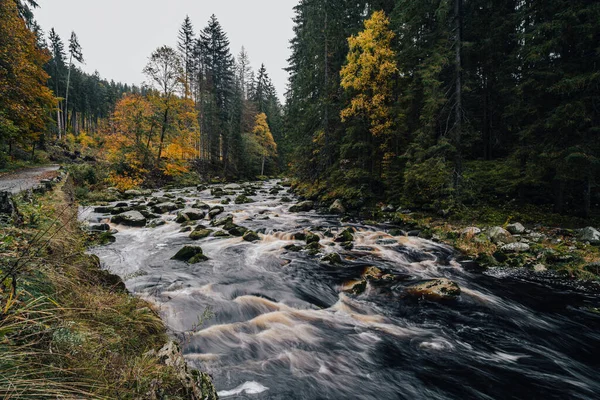 Alaska Daki Bir Nehrin Sonbahar Manzarası Orman Gibi Sonbahar Ormanının — Stok fotoğraf