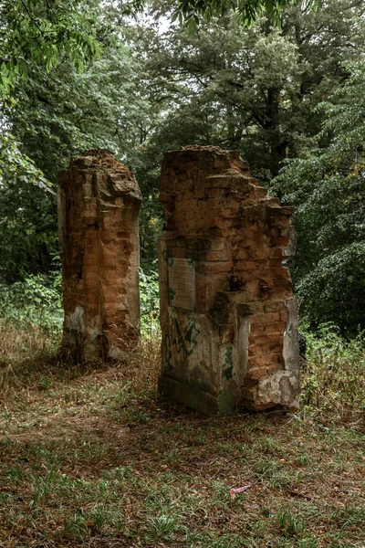 Velho Cemitério Judeu Com Árvores Torno Dele Polônia — Fotografia de Stock