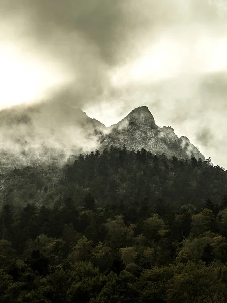 Tiro Vertical Uma Montanha Com Pinheiros Nuvens Cobrindo Topo — Fotografia de Stock