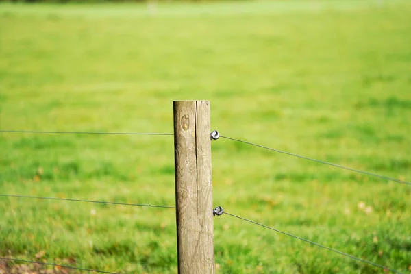 Ein Zauntor Das Eine Grüne Graswiese Schützt — Stockfoto