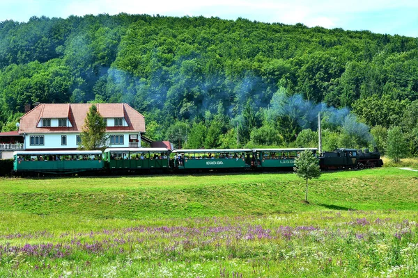 Sovata Romania Серпня 2019 Вузькоколійний Поїзд Курорту Совата Румунія Він — стокове фото