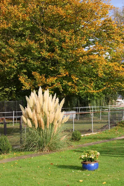 公園内の美しい植物の垂直ショット — ストック写真