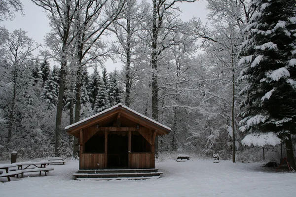 Eine Kleine Holzhütte Inmitten Eines Winterwaldes — Stockfoto