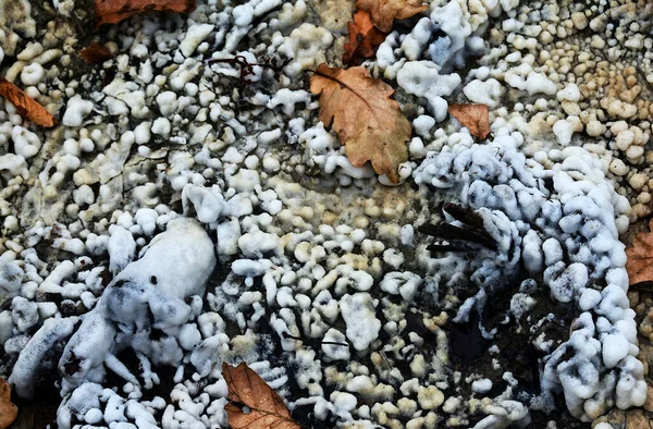 地面に結晶化塩の高角度ショット — ストック写真