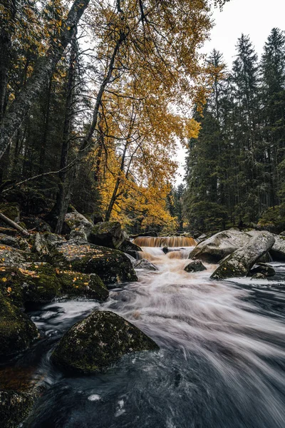 Ein Herbst Blick Auf Einen Fluss Einem Alaska Wie Wald — Stockfoto