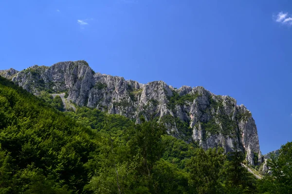 Alacsony Látószögű Kilátás Trascau Hegységre Vale Romania — Stock Fotó