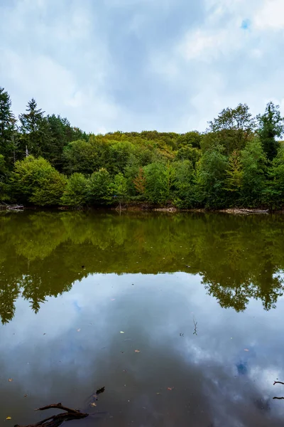 Malebný Pohled Pestrobarevné Podzimní Stromy Podél Jezera — Stock fotografie