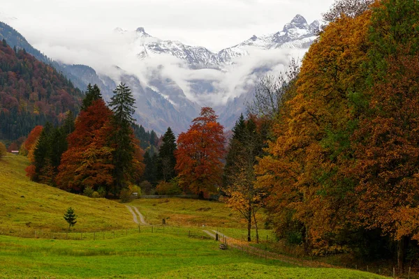 ドイツ オーバーストドルフの農地の秋の風景の美しい景色 — ストック写真