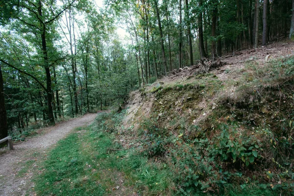 Ein Schöner Blick Auf Die Landschaft Des Thüringer Waldes — Stockfoto