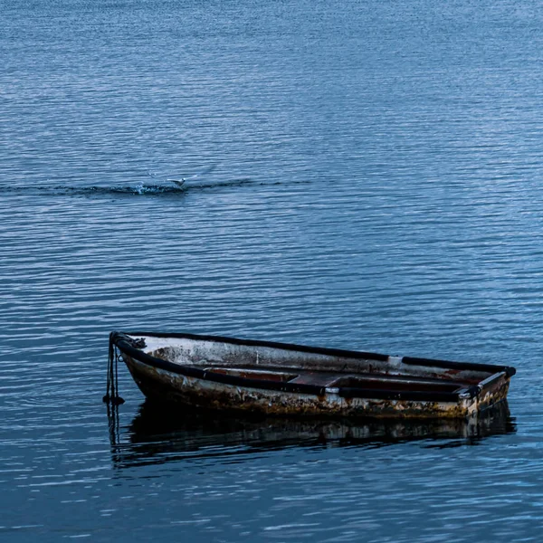 Velho Barco Enferrujado Meio Mar Calmo — Fotografia de Stock