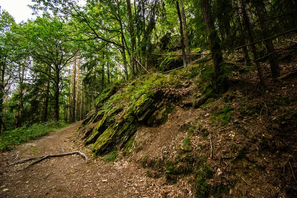 Beau Cliché Paysage Forêt Thuringienne — Photo