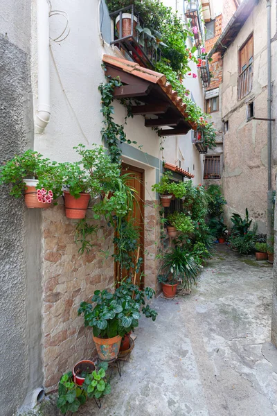 Tiro Vertical Beco Edifícios Antigos Decorados Com Flores Garganta Olla — Fotografia de Stock