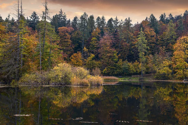 Okouzlující Výhled Les Poblíž Jezera Během Západu Slunce Pestrý Podzimní — Stock fotografie