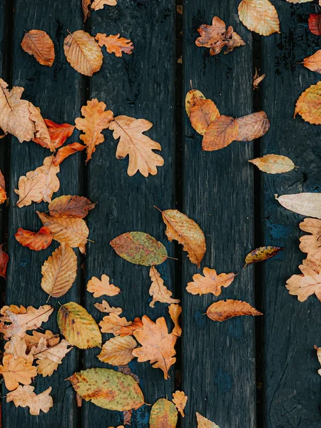 Eine Draufsicht Aufnahme Von Gefallenen Herbstblättern Einem Nassen Holzbrett — Stockfoto