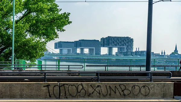 Kranhaus Buildings Rheinauhafen Cologne Europe Viewed Rhine River Broad Day — Stockfoto