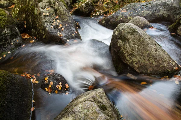 Uno Stagno Con Una Piccola Cascata Che Scorre Autunno Con — Foto Stock