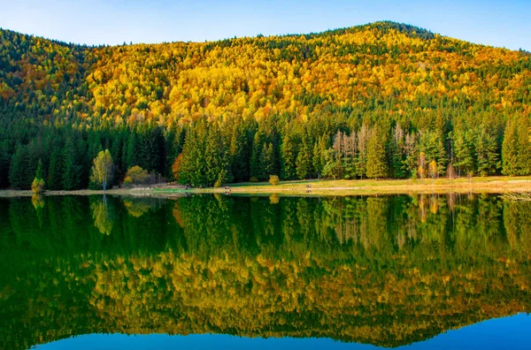 Snímek Podzimní Scenérie Jezera Saint Ann Rumunsku Svěží Barevné Stromy — Stock fotografie