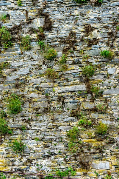 Close Vertical Textura Antiga Parede Pedra Com Vegetação — Fotografia de Stock