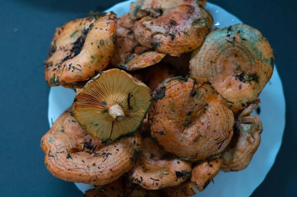 Een Oppere Uitzicht Van Kanlica Mantari Paddestoel Een Bord — Stockfoto