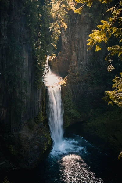 Uma Foto Vertical Das Pitorescas Toketee Falls Oregon Eua — Fotografia de Stock