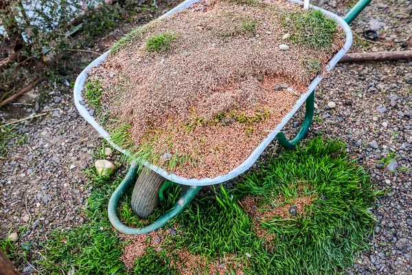 Sebuah Sudut Tinggi Ditembak Gerobak Yang Penuh Rumput Gandum Segar — Stok Foto