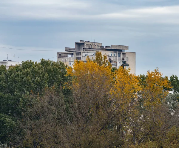 Una Vista Las Hojas Otoño Sobre Los Árboles Ciudad New — Foto de Stock