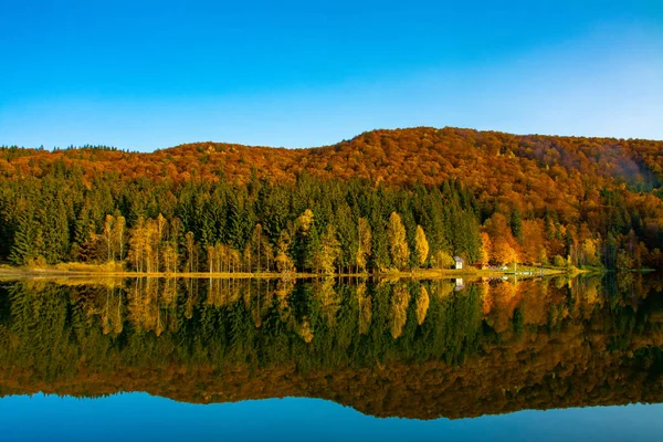 Uno Scatto Paesaggio Autunnale Del Lago Sant Anna Romania Rigogliosi — Foto Stock