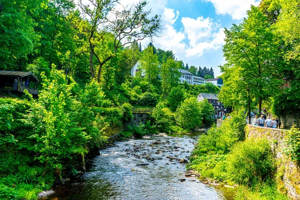 家や木とともに小川に流れる水の風景 — ストック写真