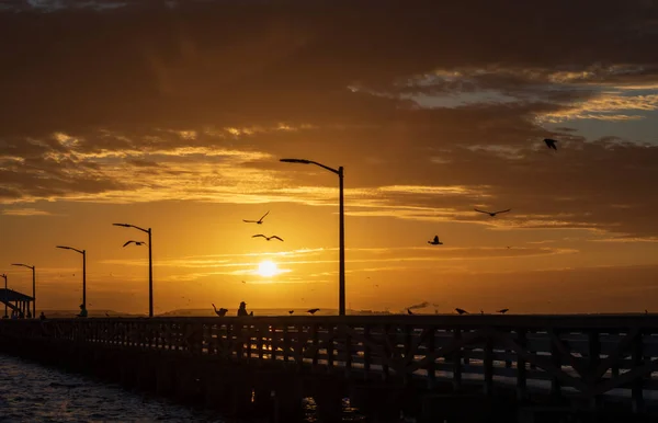 Fantástico Pôr Sol Dourado Sobre Uma Esgrima Madeira Rua Com — Fotografia de Stock